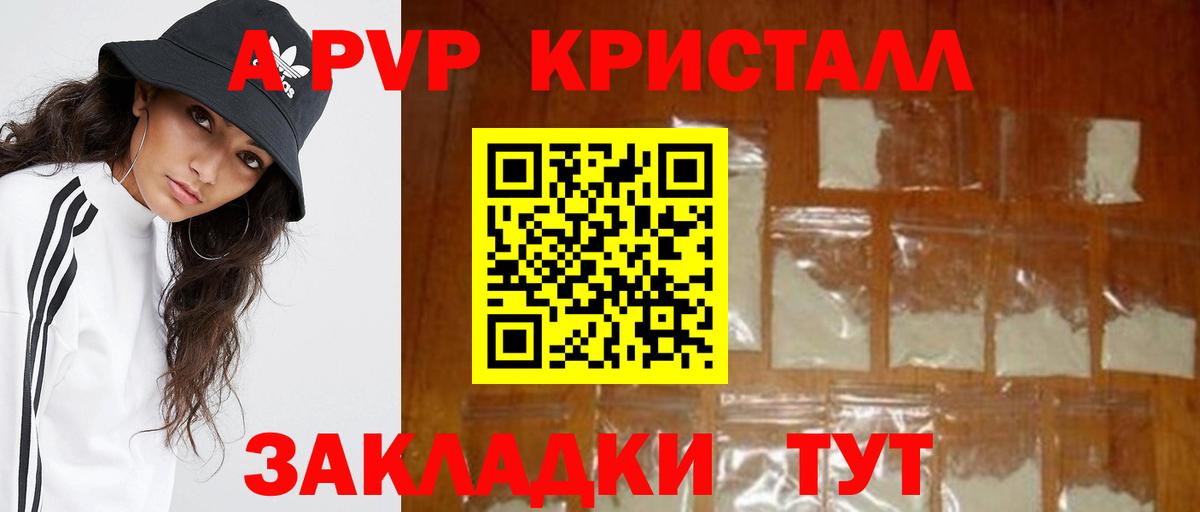 A PVP СК Новокузнецк