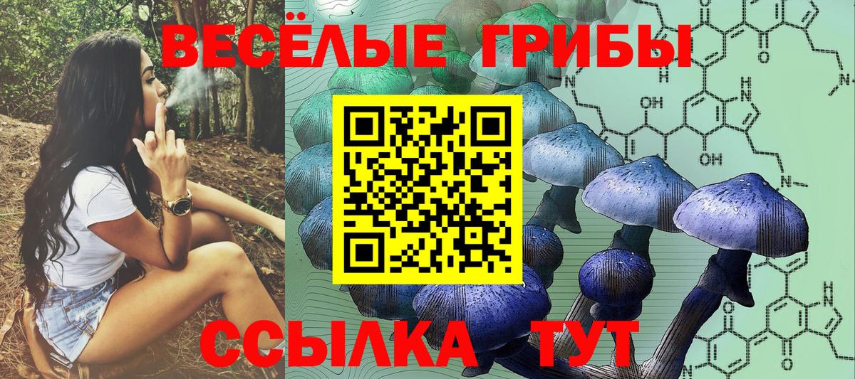 Псилоцибиновые грибы Psilocybe  Вход с VPN  Новокузнецк 